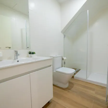 Ponte D Luis I * Oporto